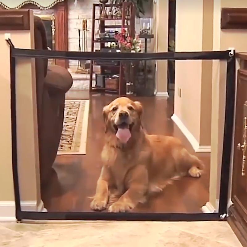 Pet Gate in Use Indoors