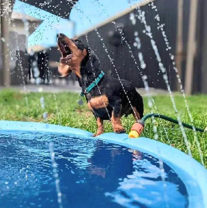 Dog Outdoor Splash Pad