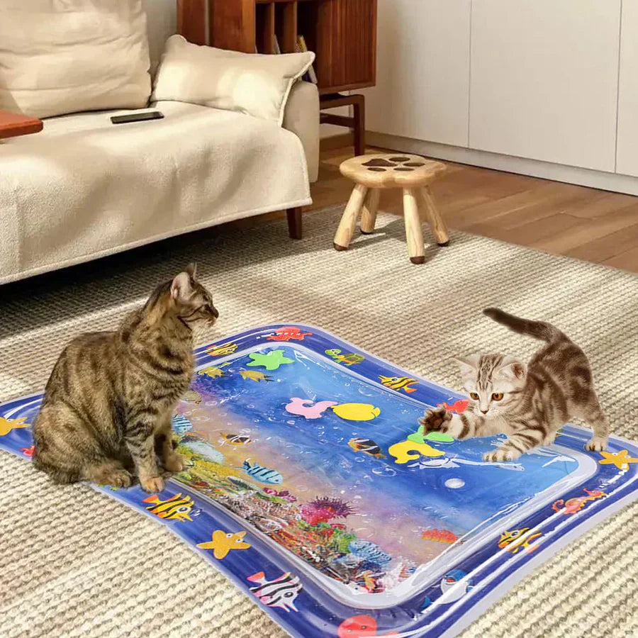 Interactive Water Mat for Pets