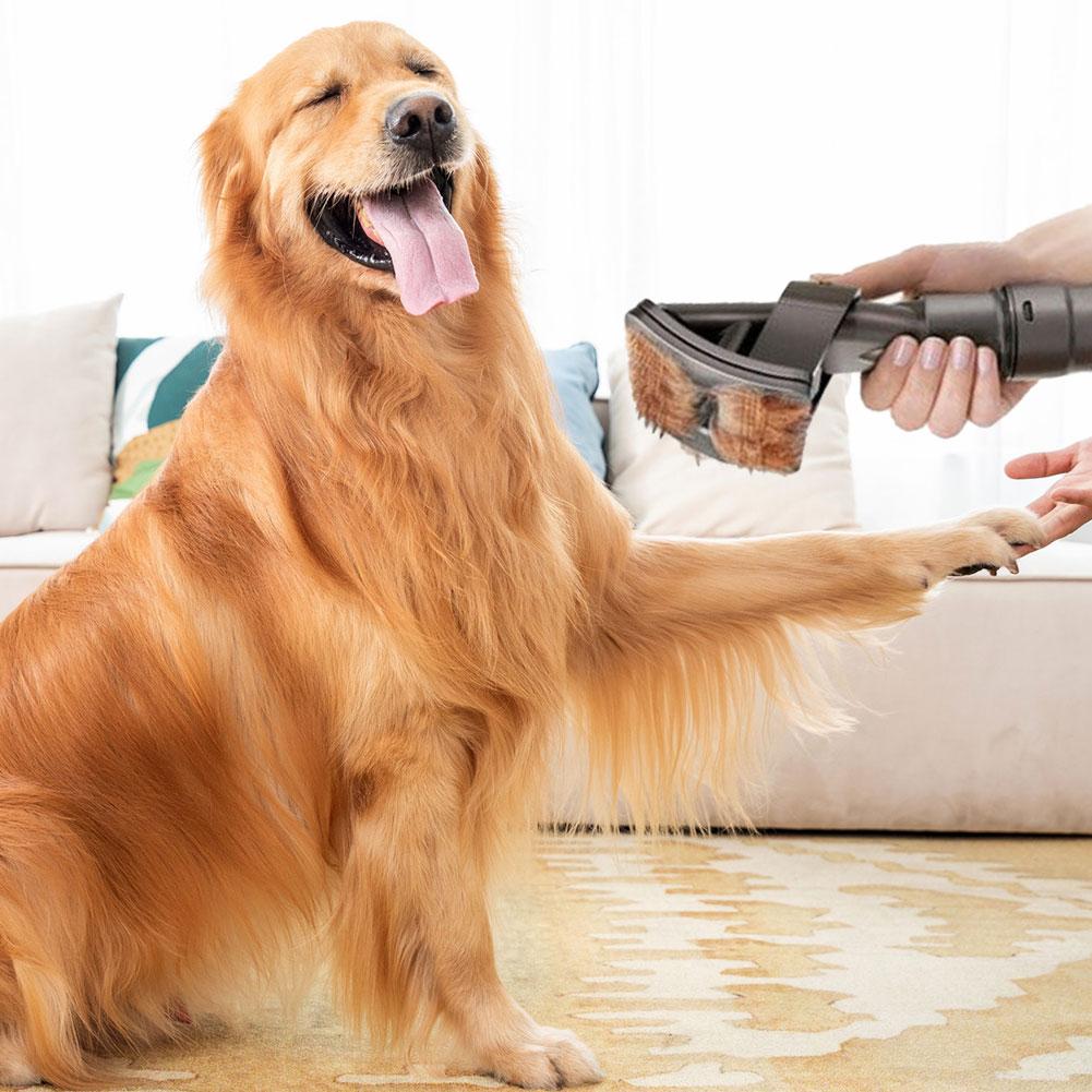 Vacuum Pet Grooming Tool