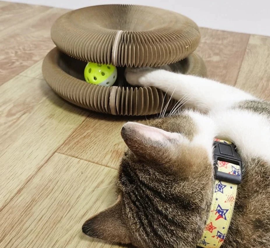 Cat Using Scratch Tower with Ball