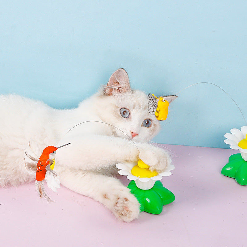 Cat Toy with Butterfly on Flower Base