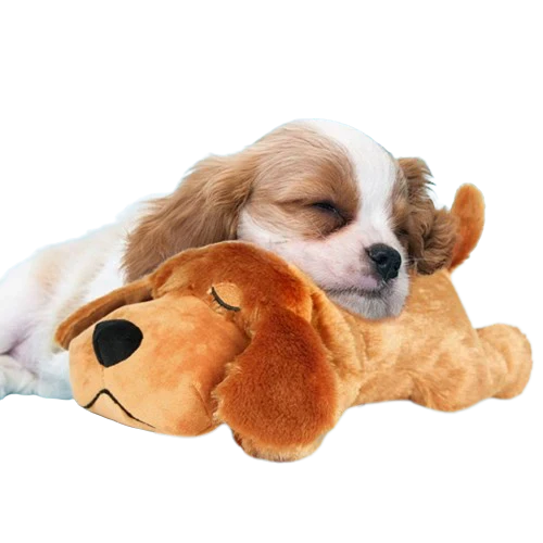 Dog Plush Pulse Toy