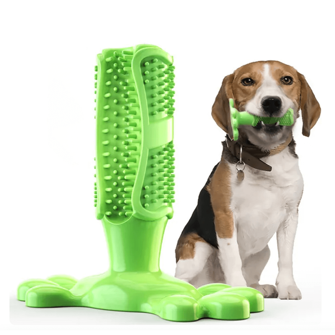Dog Toothbrush Closeup