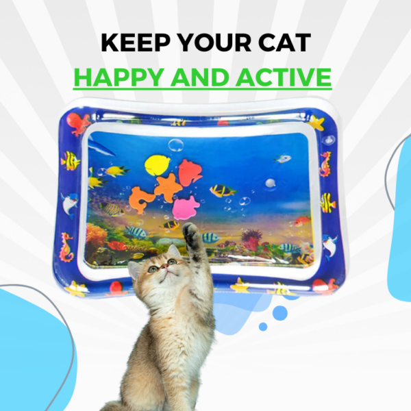 Cat Sensory Water Mat