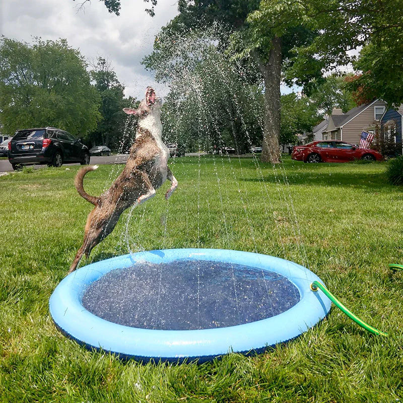 Dog Sprinkler Mat Play