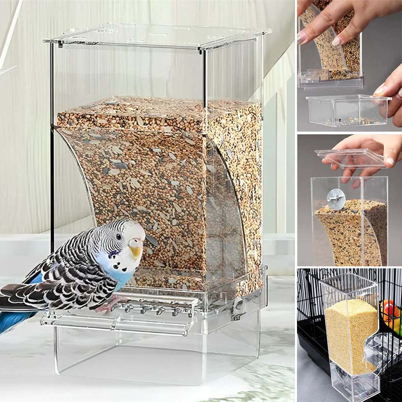 Automatic Bird Feeder Full View