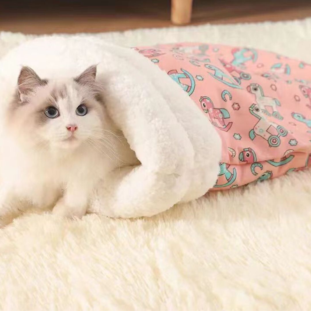Cat Bed Image