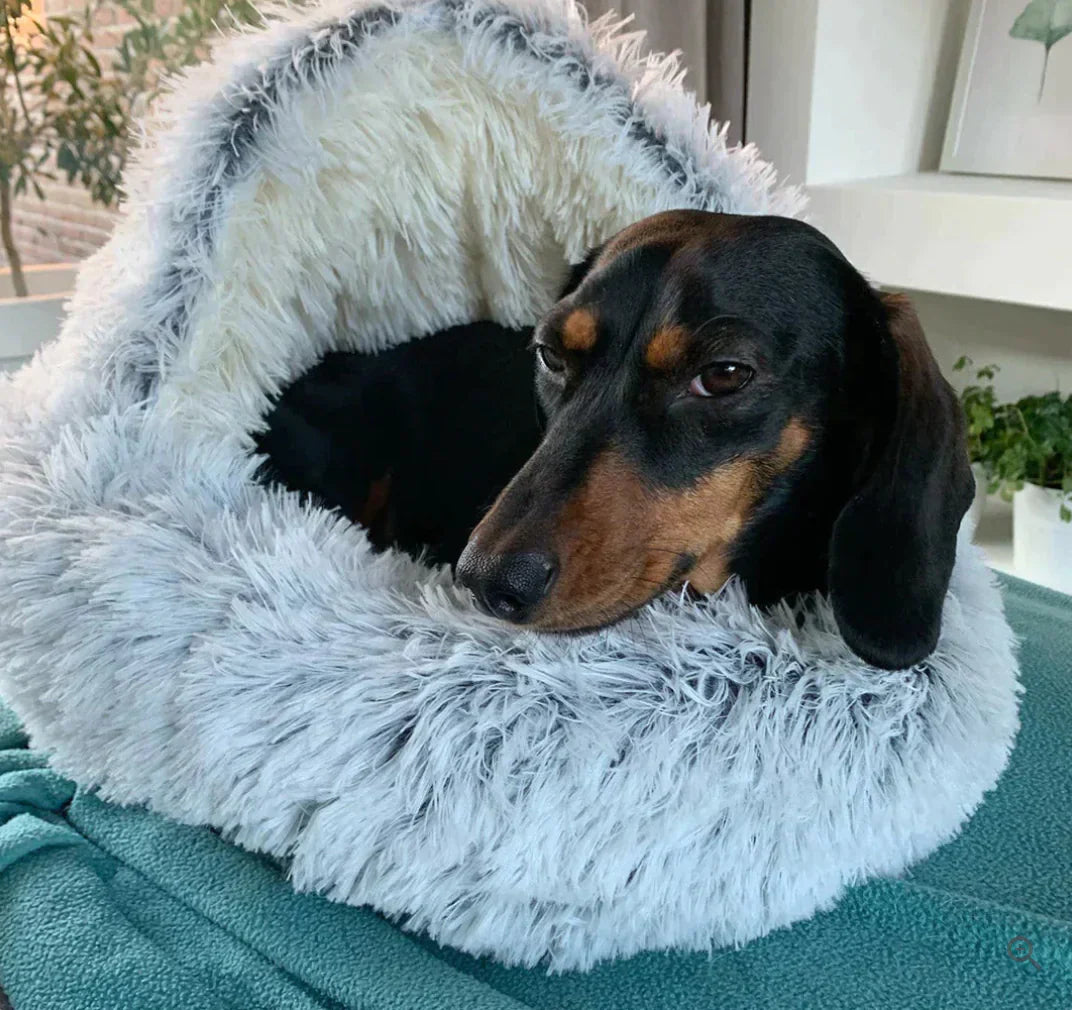 Cozy Cave Dog Bed in Use